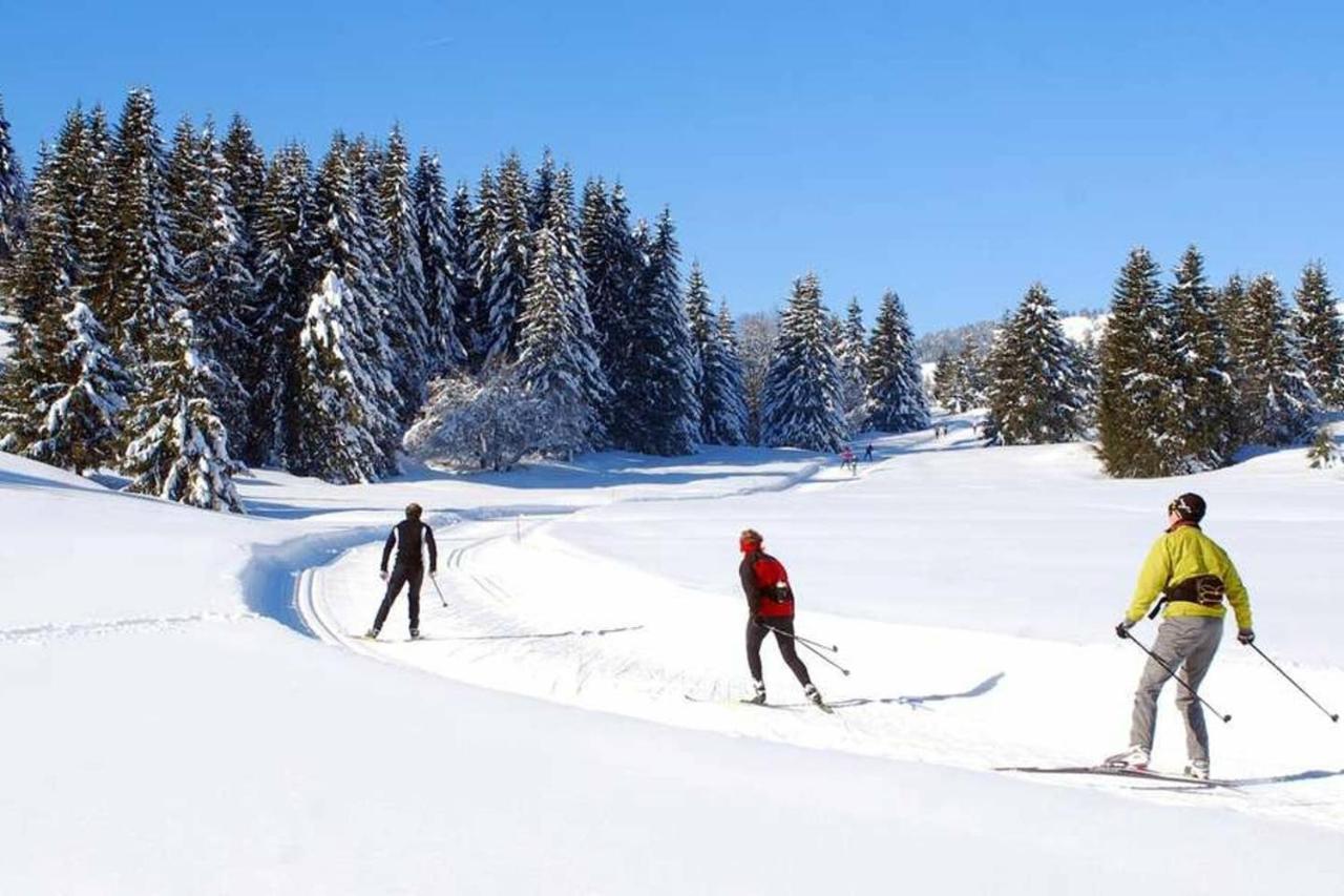 Le 211,Ski Et Randonnee, Lave Linge ,Parking Bernex Exteriér fotografie