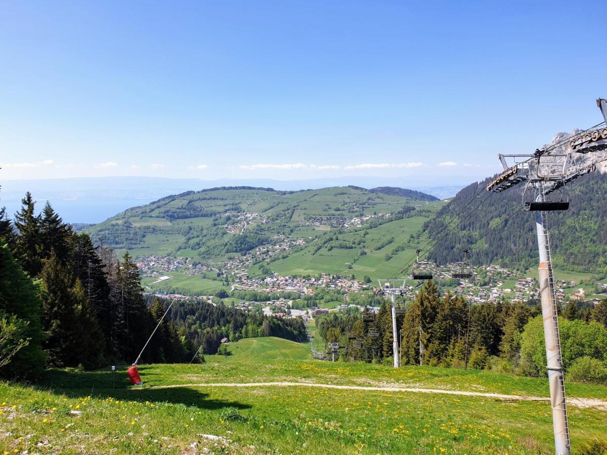 Le 211,Ski Et Randonnee, Lave Linge ,Parking Bernex Exteriér fotografie